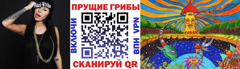 Галлюциногенные грибы Psilocybine cubensis  Усть-Лабинск 