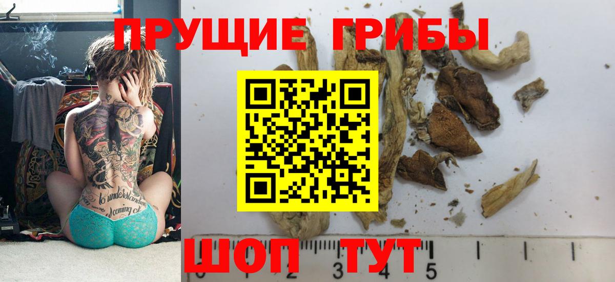 Усть-Лабинск  как найти закладки  Вход с VPN  Галлюциногенные грибы мухоморы 